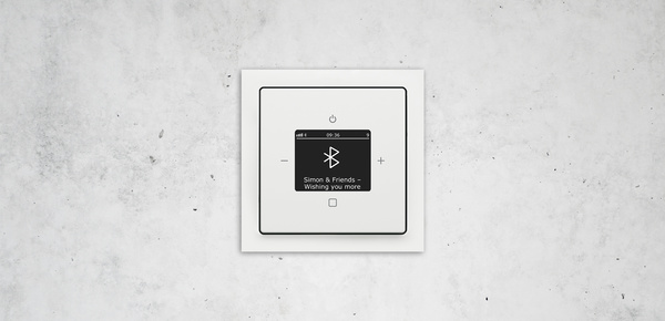 Busch-Radio Btconnect bei Elektro Köll GmbH in Hausham